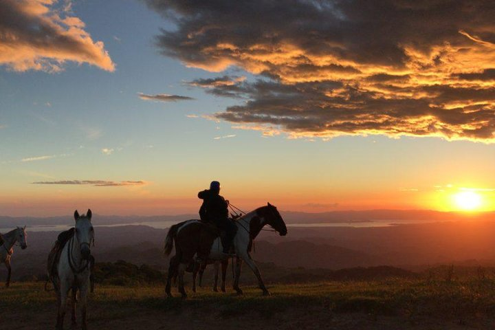 Monteverde Cloud Forest Horseback Riding - Photo 1 of 11
